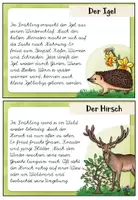 Vorschau - Bildkarten - Abschreibkartei Tiere im Frühling – Lese- und Schreibtraining für die Grundschule | Sachtexte in Lateinischer Ausgangsschrift (LA) - Seite 3