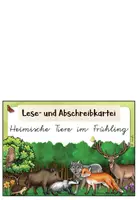 Vorschau - Bildkarten - Abschreibkartei Tiere im Frühling – Lese- und Schreibtraining für die Grundschule | Sachtexte in Vereinfachter Ausgangsschrift (VA) - Seite 1