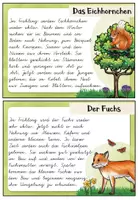 Vorschau - Bildkarten - Abschreibkartei Tiere im Frühling – Lese- und Schreibtraining für die Grundschule | Sachtexte in Vereinfachter Ausgangsschrift (VA) - Seite 2
