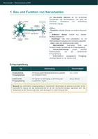 Vorschau - Prüfungsvorbereitung - Biologie - Neurobiologie (Kompakt fürs Abi) - Seite 2