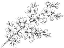 Vorschau - Mal- und Bastelvorlagen - SPARPAKET „MANDALAS & AUSMALBILDER IM FRÜHLING“ - Seite 2