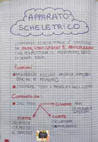 anteprima - Materiale di supporto/inclusione - QUADERNO DI SCIENZE – Classe V per tutto l’anno scolastico - Pagina 2