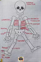 anteprima - Materiale di supporto/inclusione - QUADERNO DI SCIENZE – Classe V per tutto l’anno scolastico - Pagina 1