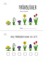 Vorschau - Arbeitsblätter - Frühblüher Klasse 1-2 Lesen & Anmalen Deutsch Sachunterricht - Seite 3
