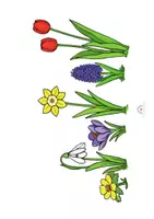 Vorschau - Mal- und Bastelvorlagen - Frühblüher Kindergarten | Forschen, Basteln & Quiz | Mit Leitkarten, sofort einsetzbar - Seite 3