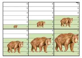 Aperçu - Apprentissages en autonomie - Jeu de bataille des tailles – Animaux de la forêt - Page 3