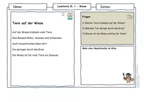Vorschau - Arbeitsblätter - Lebensraum Wiese Klasse 1 – Lesetexte | Tiere der Wiese & Nahrungskette | Sachunterricht | differenziert mit Lösungen - Seite 3