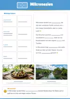 Vorschau - Arbeitsblätter - Steckbrief Mikronesien — Länder und Kontinente entdecken - Seite 1