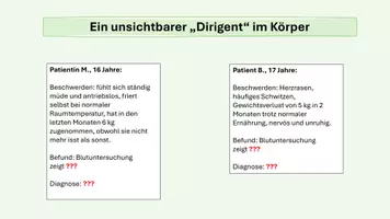 Vorschau - Arbeitsblätter - Hormone - Botenstoffe des Körpers - Seite 1