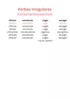 Vorschau - Poster - Verbos regulares & irregulares _eigene Übersicht - Seite 2