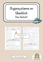 Vorschau - Arbeitsblätter - Skelett Arbeitsblätter inklusive Lösungen - Deckblatt