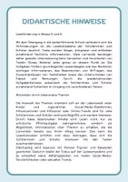 Vorschau - Arbeitsblätter - Influencer, Posts & Chats - Lesetraining für Klasse 5 und 6 - Seite 3
