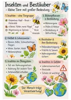 Vorschau - Merkblätter - Biologie - Insekten - Übersicht zum Lernen und Inhalten (Klasse 5 6 7) - Deckblatt
