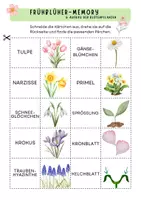 Vorschau - Spiele - Frühblüher Legespiel - Frühblüher & Aufbau der Pflanzen - Seite 1