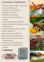 Vorschau - Unterrichtsreihen - Insekten Bestäuber Unterrichtsmaterial Biologie Klasse 5–7 – Arbeitsblätter, Körperbau, Metamorphose, Bestäubung, Ökosystem differenziert mit Lösungen - Seite 1