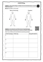 Vorschau - Stundenentwürfe - Immunbiologie (Materialpaket) - Seite 2