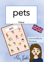 Vorschau - Poster - pets_Plakat - Deckblatt