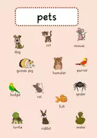Vorschau - Poster - pets_Plakat - Seite 2