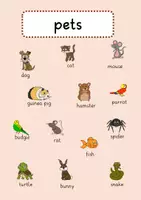 Vorschau - Poster - pets_Plakat - Seite 3
