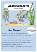 Vorschau - Arbeitsblätter - Abschreibkartei/Wissenskartei: Unterwasserwelt - Seite 1
