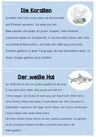Vorschau - Arbeitsblätter - Abschreibkartei/Wissenskartei: Unterwasserwelt - Seite 3