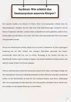 Vorschau - Arbeitsblätter - Probevorbereitung Lesen Leseprobe Training Sachtext: Strategien, Analysefragen & Lösungen Klasse 4 - Seite 3