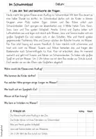 Vorschau - Arbeitsblätter - Lesen | Leseverstehen | Leseverständnis | Sommer | Klasse 2-4 - Seite 2