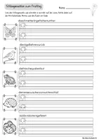 Vorschau - Arbeitsblätter - Schlangensätze zum thema Frühling Schreibübung, Abschreiben, Nomen erkennen, 2fach differenziert, Ostern - Seite 3