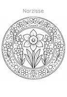 Vorschau - Mal- und Bastelvorlagen - Frühblüher Mandalas - Ausmalbilder Klasse 1-2 - Seite 2