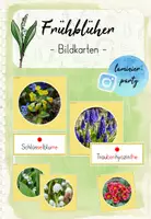 Vorschau - Poster - Frühblüher: Bildkarten (Kl. 1/2) - Deckblatt