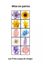Aperçu - Fiches - Mise en paires les fleurs - Page 1