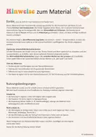 Vorschau - Arbeitsblätter - Sommer Lesespur Klasse 2,3,4: Sommerurlaub - Der Bär am Strand Lesen - Seite 1