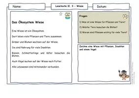 Vorschau - Arbeitsblätter - Lebensraum Wiese – Lesetexte Klasse 3 | Ökosystem & Artenvielfalt | Sachunterricht Grundschule | differenziert mit Lösungen - Seite 1