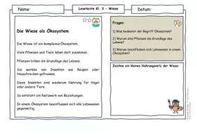 Vorschau - Arbeitsblätter - Lebensraum Wiese – Lesetexte Klasse 3 | Ökosystem & Artenvielfalt | Sachunterricht Grundschule | differenziert mit Lösungen - Seite 2