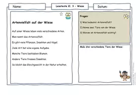 Vorschau - Arbeitsblätter - Lebensraum Wiese – Lesetexte Klasse 3 | Ökosystem & Artenvielfalt | Sachunterricht Grundschule | differenziert mit Lösungen - Seite 3