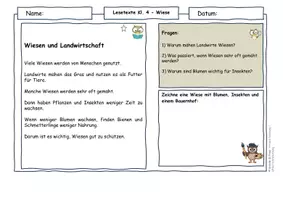 Vorschau - Arbeitsblätter - Sommer Materialpaket Klasse 4 - Wetter, Wasser, Insekten, Schmetterlinge, Wiese, Wald, Ferien - Seite 2