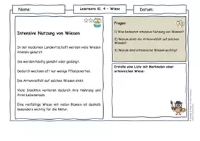Vorschau - Arbeitsblätter - Sommer Materialpaket Klasse 4 - Wetter, Wasser, Insekten, Schmetterlinge, Wiese, Wald, Ferien - Seite 3