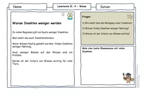 Vorschau - Arbeitsblätter - Wiese Klasse 4 – Landwirtschaft, Artenvielfalt & Insektensterben | Differenzierte Lesetexte Sachunterricht - Seite 3