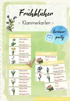 Vorschau - Spiele - Frühblüher: Klammerkarten (Kl. 1/2) - Deckblatt