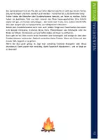 Vorschau - Stationenlernen - Arbeitsblätter "Steinzeit: Feuer machen" für 4. bis 6. Klasse - Seite 3