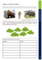 Vorschau - Arbeitsblätter - Materialpaket "Steinzeit" für 4. bis 6. Klasse inkl. Lösungen - Seite 1