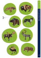 Vorschau - Arbeitsblätter - Arbeitsblätter "Steinzeit: Tiere der Eiszeit" für 4. bis 6. Klasse - Seite 1