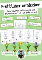 Vorschau - Stundenentwürfe - Frühling - Frühblüher entdecken (Tafelmaterial, Arbeitsblätter, Stundenentwurf - 3fach differenziert) - Deckblatt
