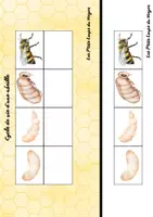 Aperçu - Fiches - Livret les abeilles 🐝 - Page 1