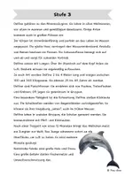 Vorschau - Arbeitsblätter - Der Delfin: Differenzierte Sach- und Lesetexte - Seite 3