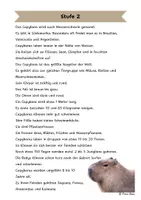 Vorschau - Arbeitsblätter - Das Capybara: Differenzierte Sach- und Lesetexte - Seite 2