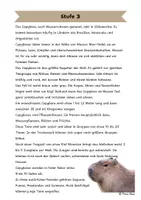 Vorschau - Arbeitsblätter - Das Capybara: Differenzierte Sach- und Lesetexte - Seite 3