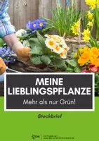 Vorschau - Arbeitsblätter - Lieblingspflanze - Steckbrief - Deckblatt