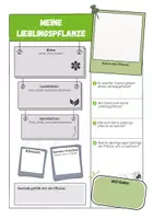 Vorschau - Arbeitsblätter - Lieblingspflanze - Steckbrief - Seite 1