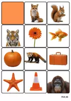 Vorschau - Spiele - 22 Bildkärtchen mit Montessori-Beschriftung in der Farbe Orange - Seite 2